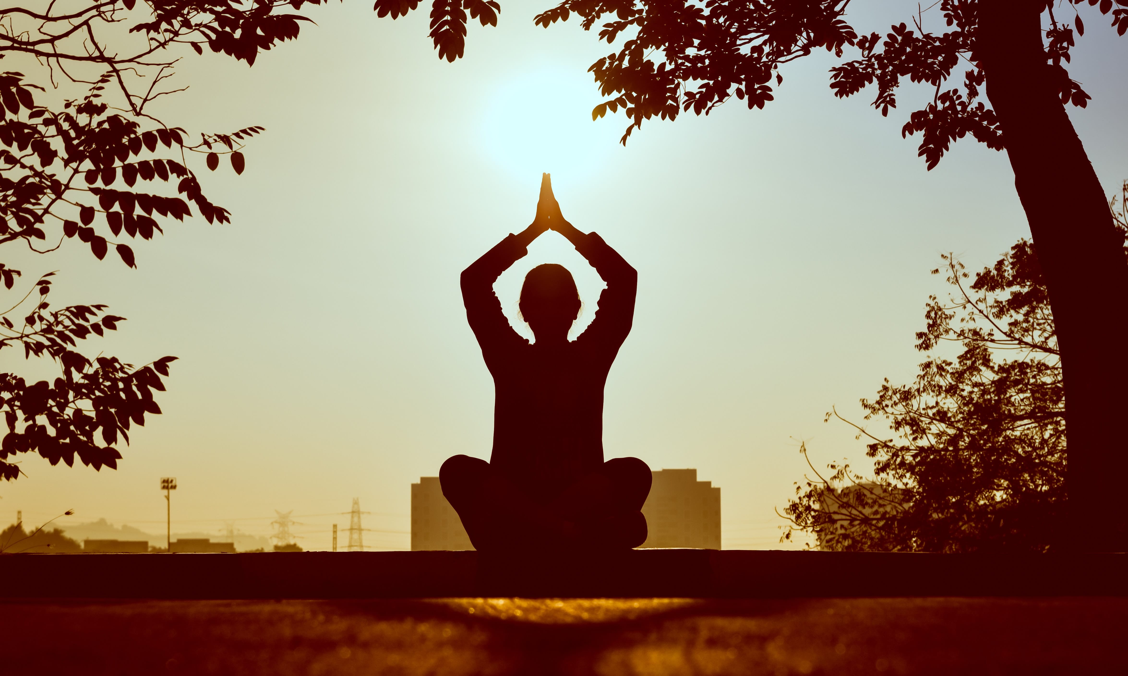 Mindfulness è una parola inglese che vuol dire consapevolezza ma in un senso particolare. Non è facile descriverlo a parole perché si riferisce prima di tutto a un’esperienza diretta.
